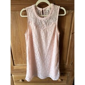 Pink Lace Floral Coquette Country Fairy Chic Lined Women's Dress Size Large